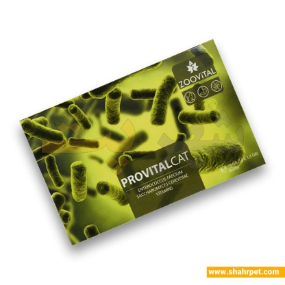 مکمل پروبیوتیک گربه زوویتال Provital 