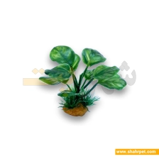 گیاه تزیینی مصنوعی آکواریوم GDA-018 ارتفاع 8 سانت