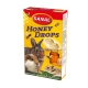 Sanal Honey Drops غذای تشویقی جونده سانال با طعم عسل Honey Drops 