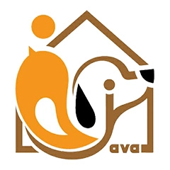 جاوا (Java)