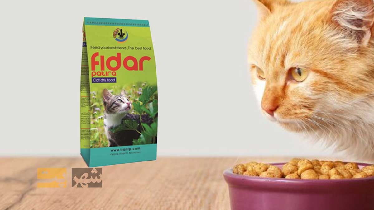 غذای خشک گربه